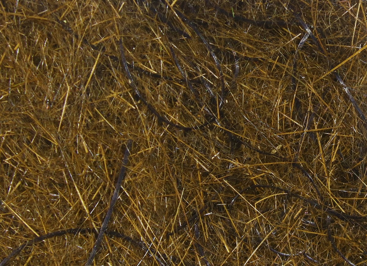 Olive-brown Hare'E Wiggle Dub dubbing with fine golden fibers and longer dark strands for fly tying