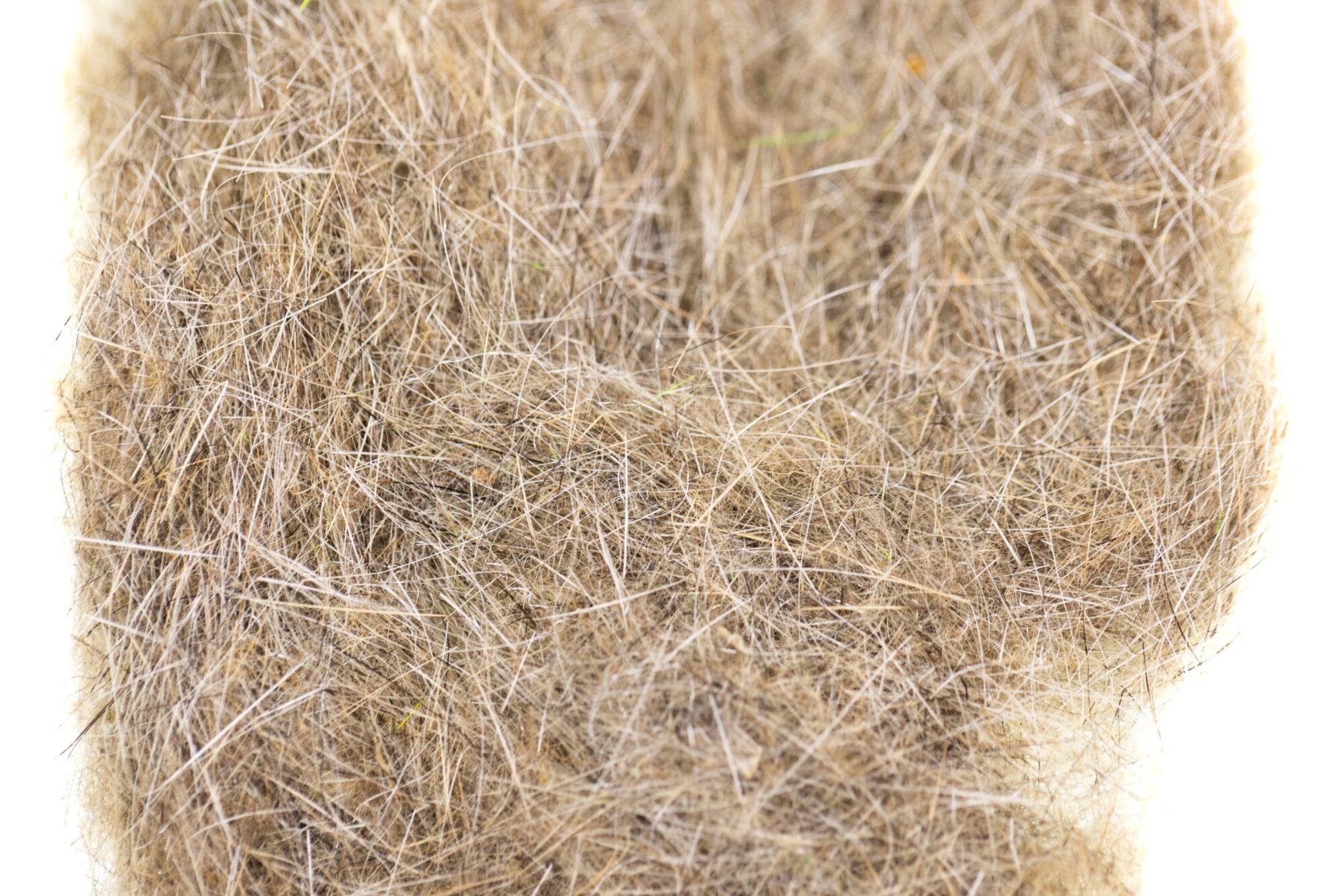 Hareline Hare's Ear Plus Dubbin