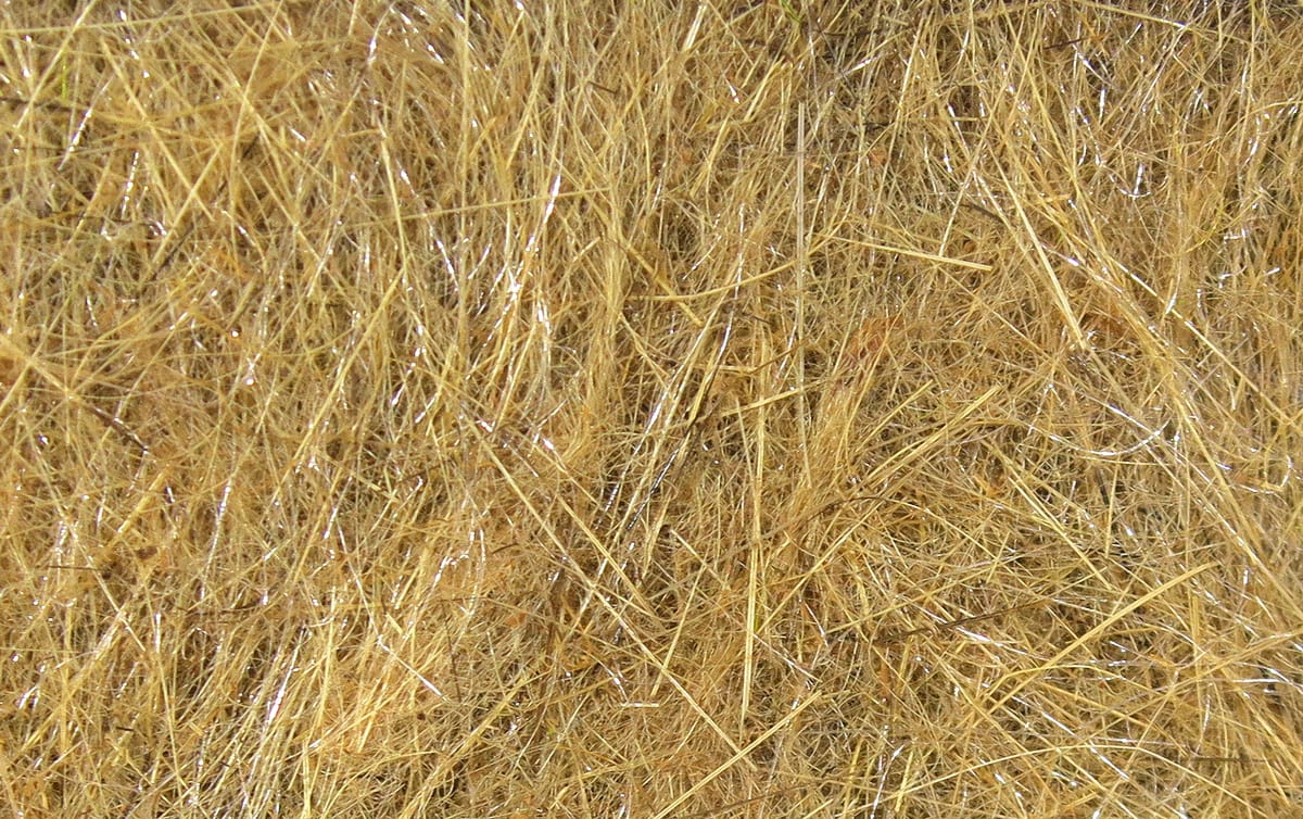 Tan hare's ear dubbing fibers with golden brown mix and subtle flash for fly tying