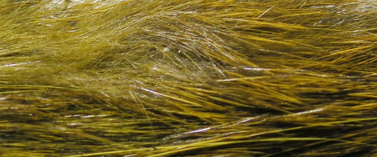 Close-up olive-brown hare mask fur with glossy long guard hairs, soft underfur for fly tying