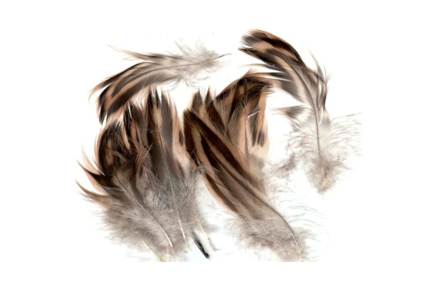 Hareline Hen Mallard Feathers