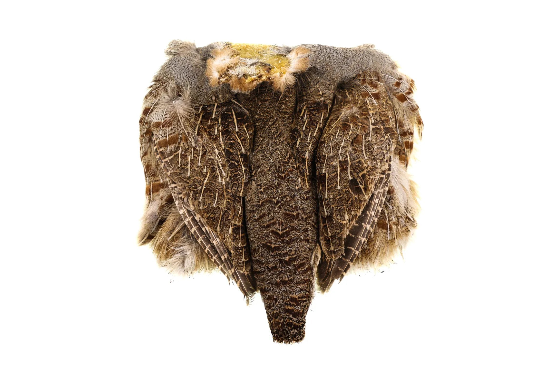Hareline Hungarian Partridge Skin