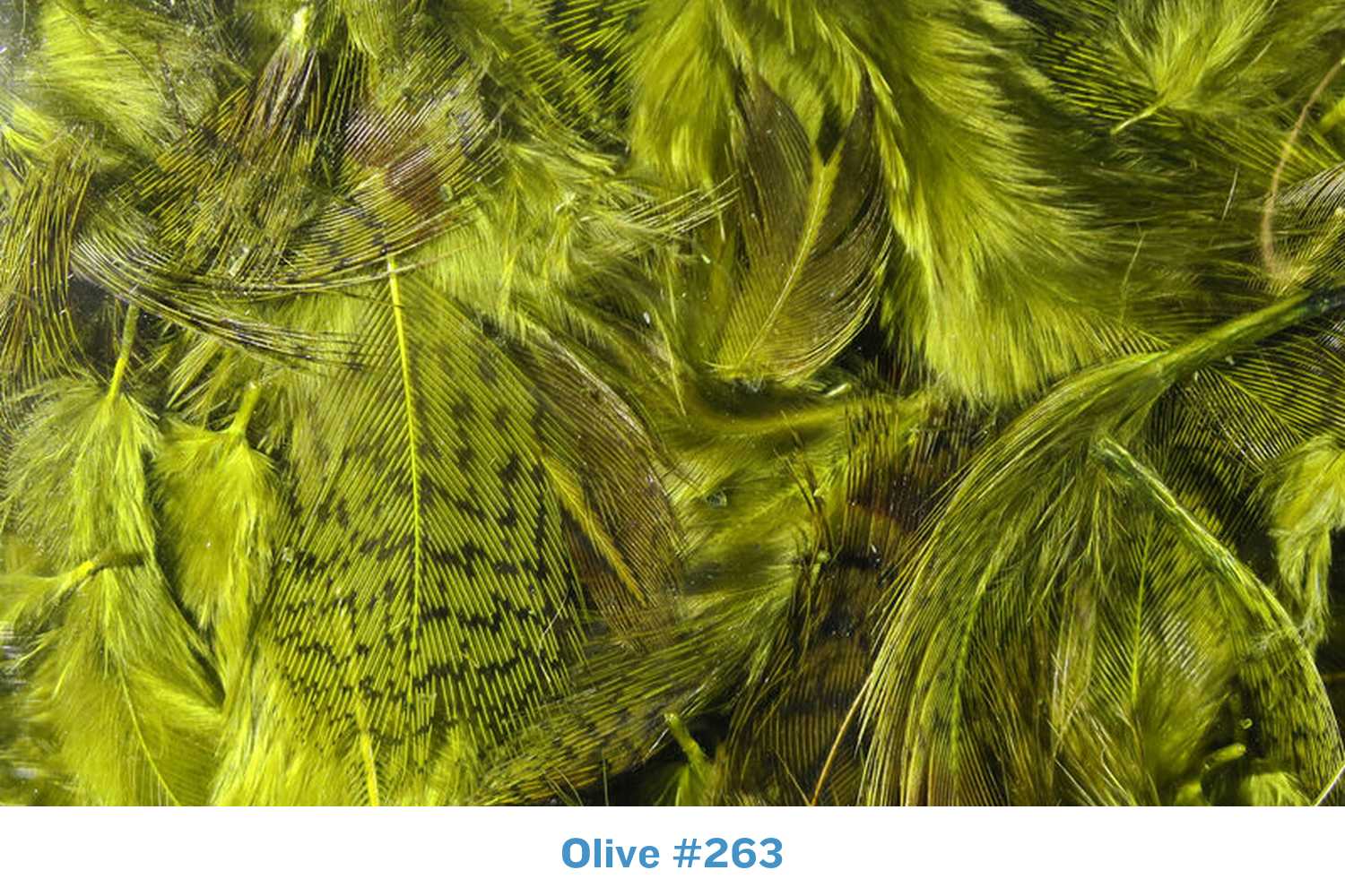 Hareline Hungarian Partridge Skin
