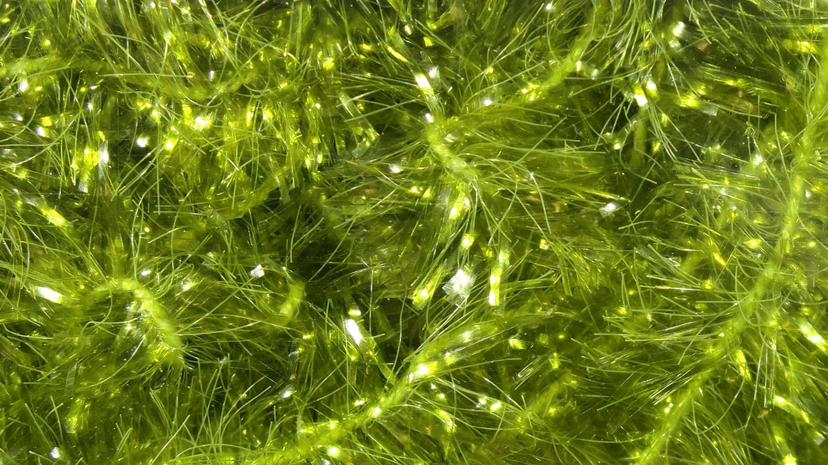 Chartreuse Hareline Ice Chenille with sparkling iridescent fibers and fluffy textured strands
