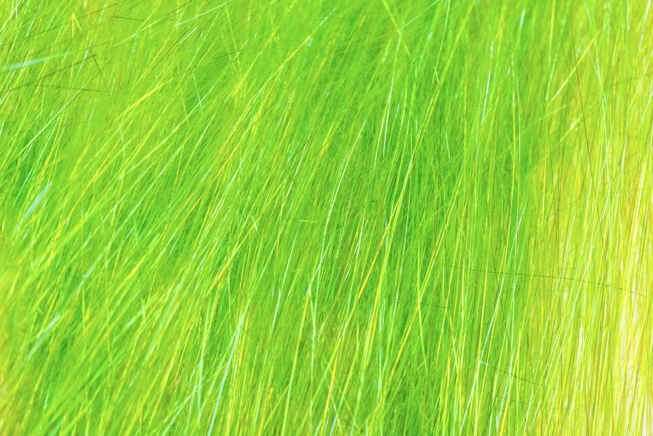 Chartreuse lime Hareline Ice Dub shimmer fringe: long glossy synthetic fly tying fibers with subtle silver iridescent strands