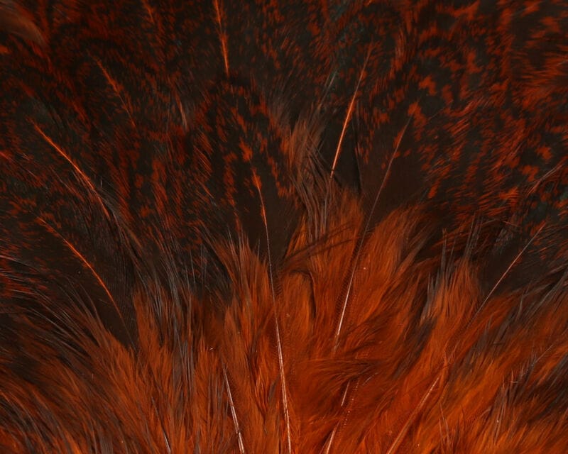 Hareline India hen back feathers in rust orange and black speckle, soft plumes and long hackle fibers for fly tying