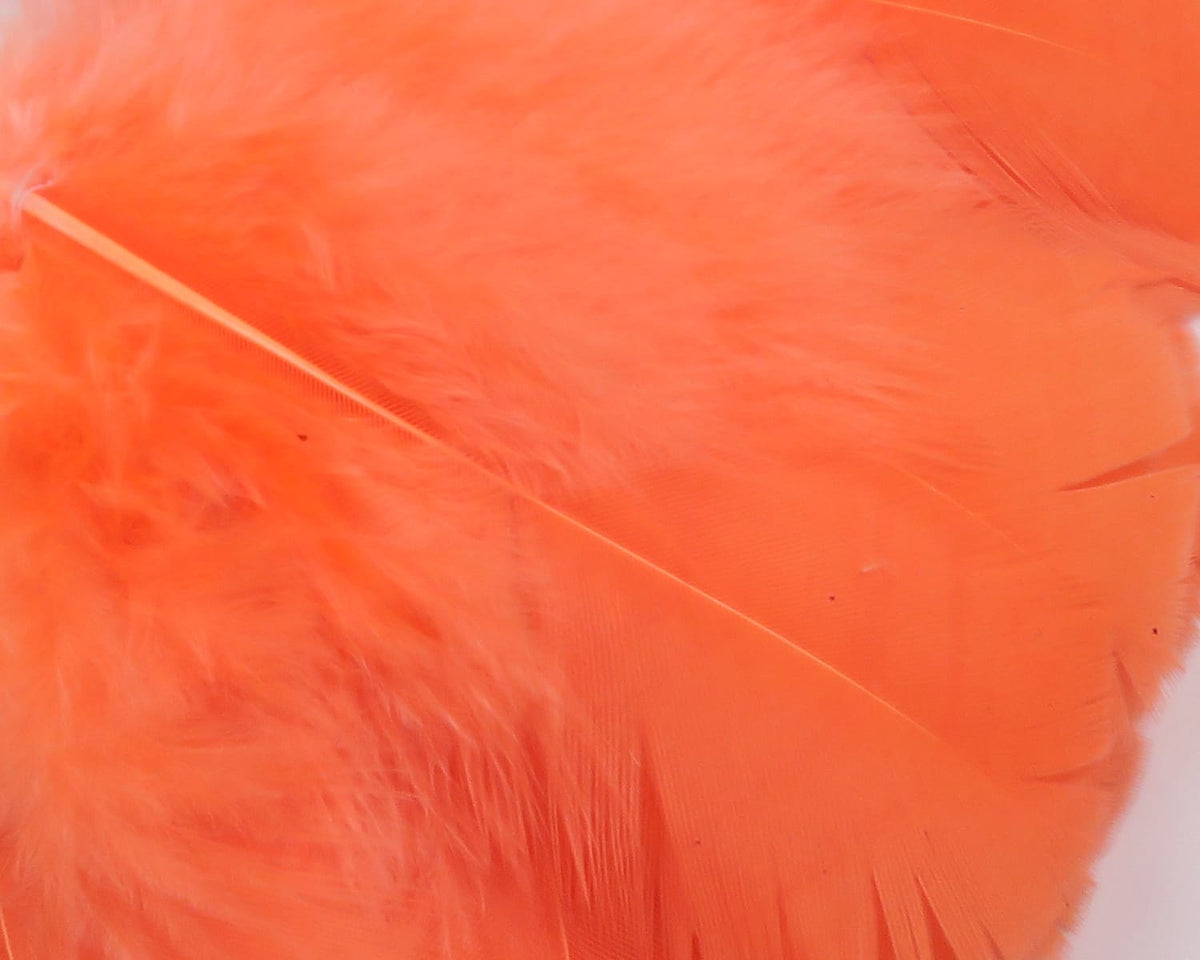 Bright orange Hareline Intruder prop feathers with fluffy marabou and smooth vane for fly tying