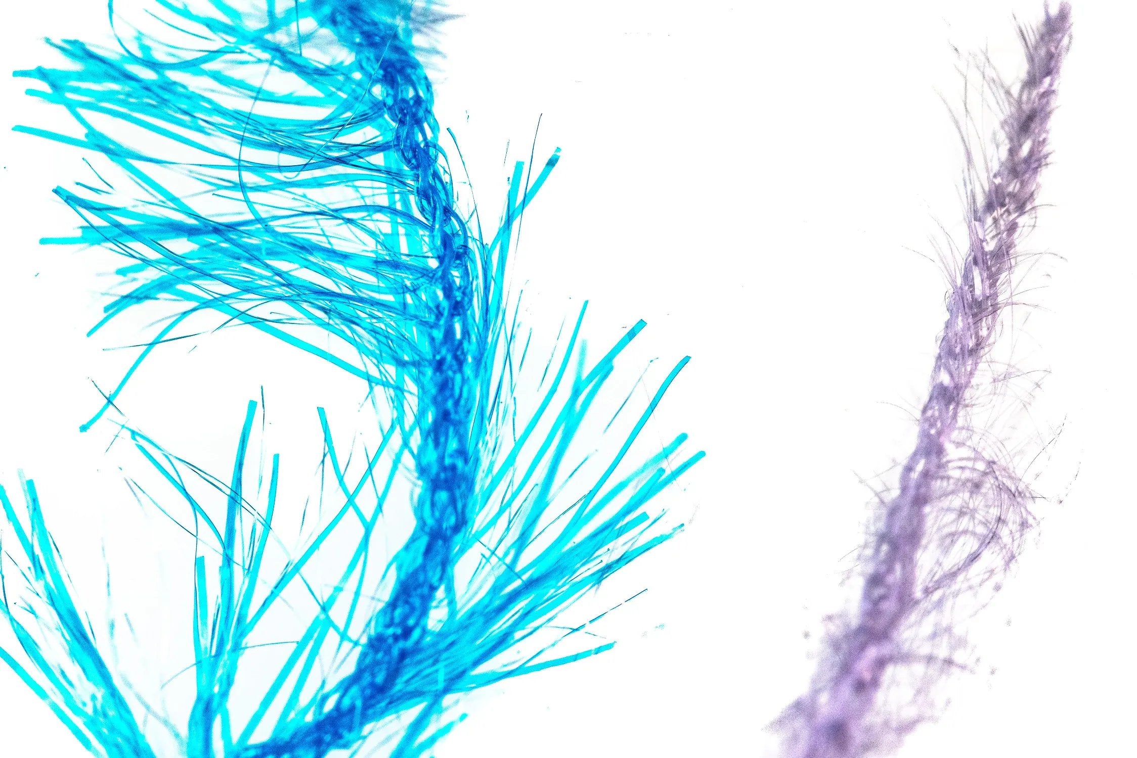 Vibrant turquoise Krystal hackle fibers with reflective synthetic tinsel and thin purple fuzzy strand for fly tying