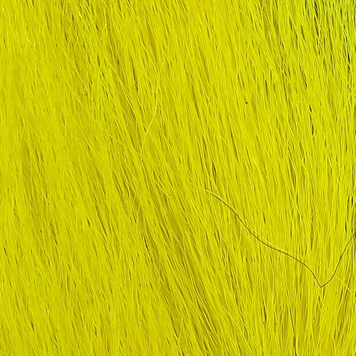 Bright chartreuse yellow northern bucktail hair, long coarse deer fibers for fly tying and streamer patterns