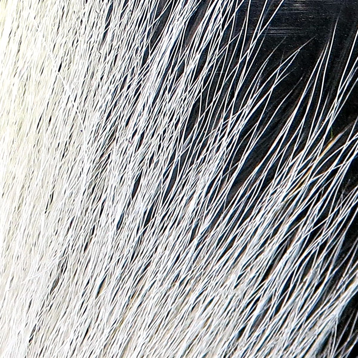 White and black large northern bucktail hair, long natural deer fibers for fly tying and streamer bodies