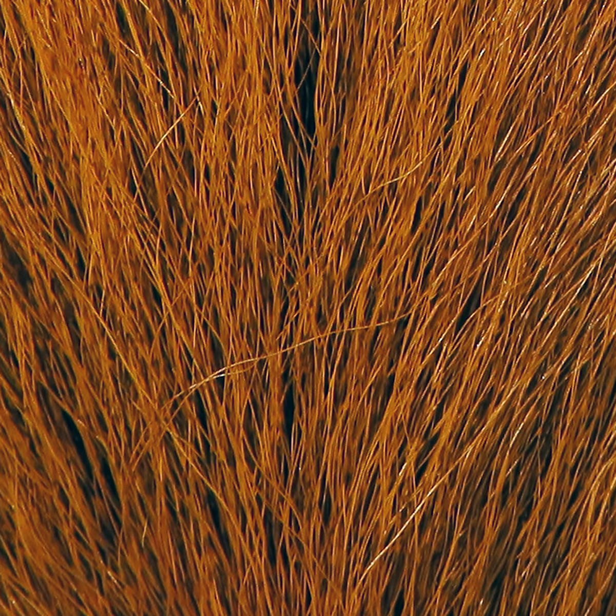 Hareline Large Northern bucktail, rust-brown long coarse hair fibers fanned for fly tying