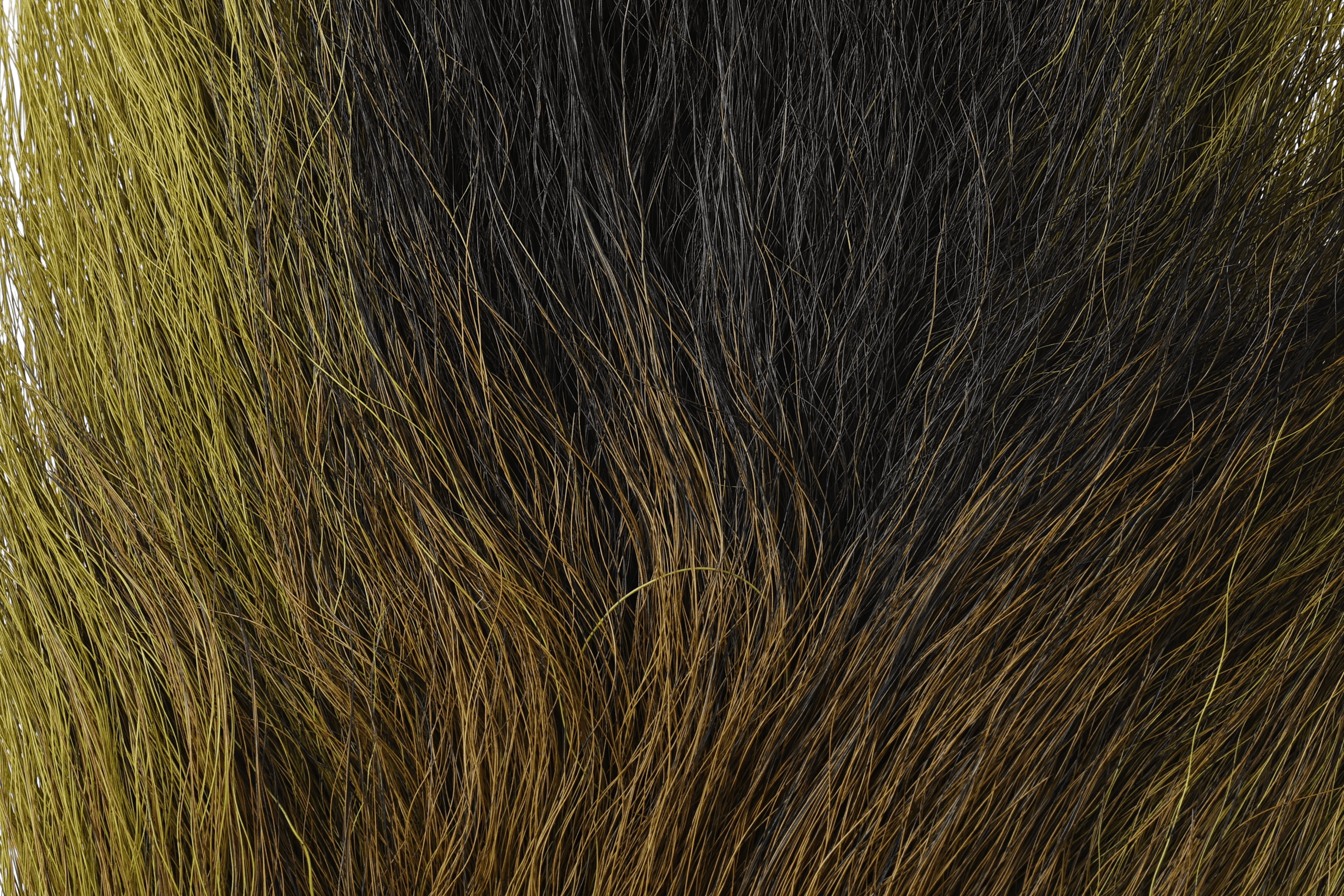 Large Northern bucktail: dense long deer hair in olive, black and brown natural tones for fly tying