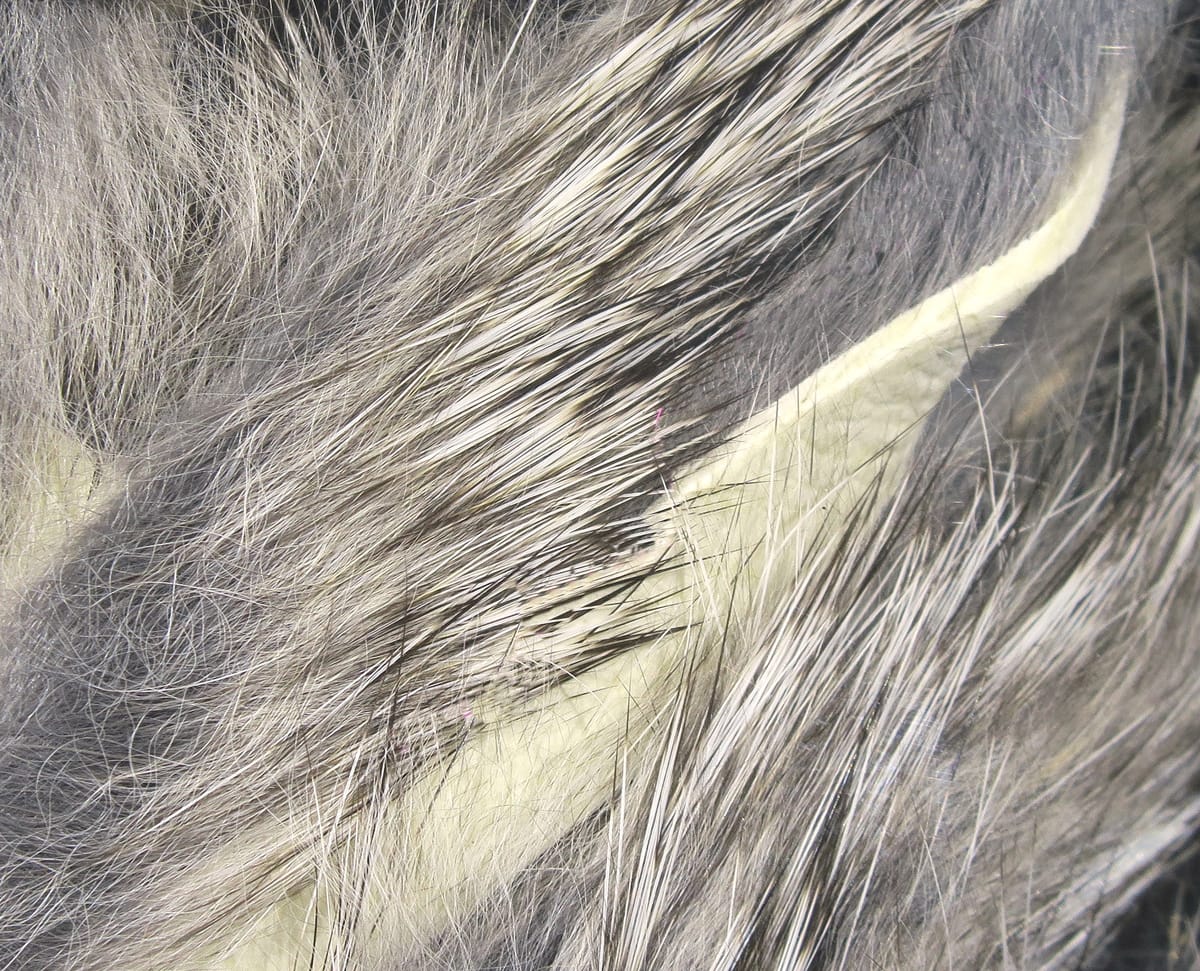 Gray and white Hareline Magnum rabbit fur with long dense guard hairs and soft underfur, ideal for fly tying