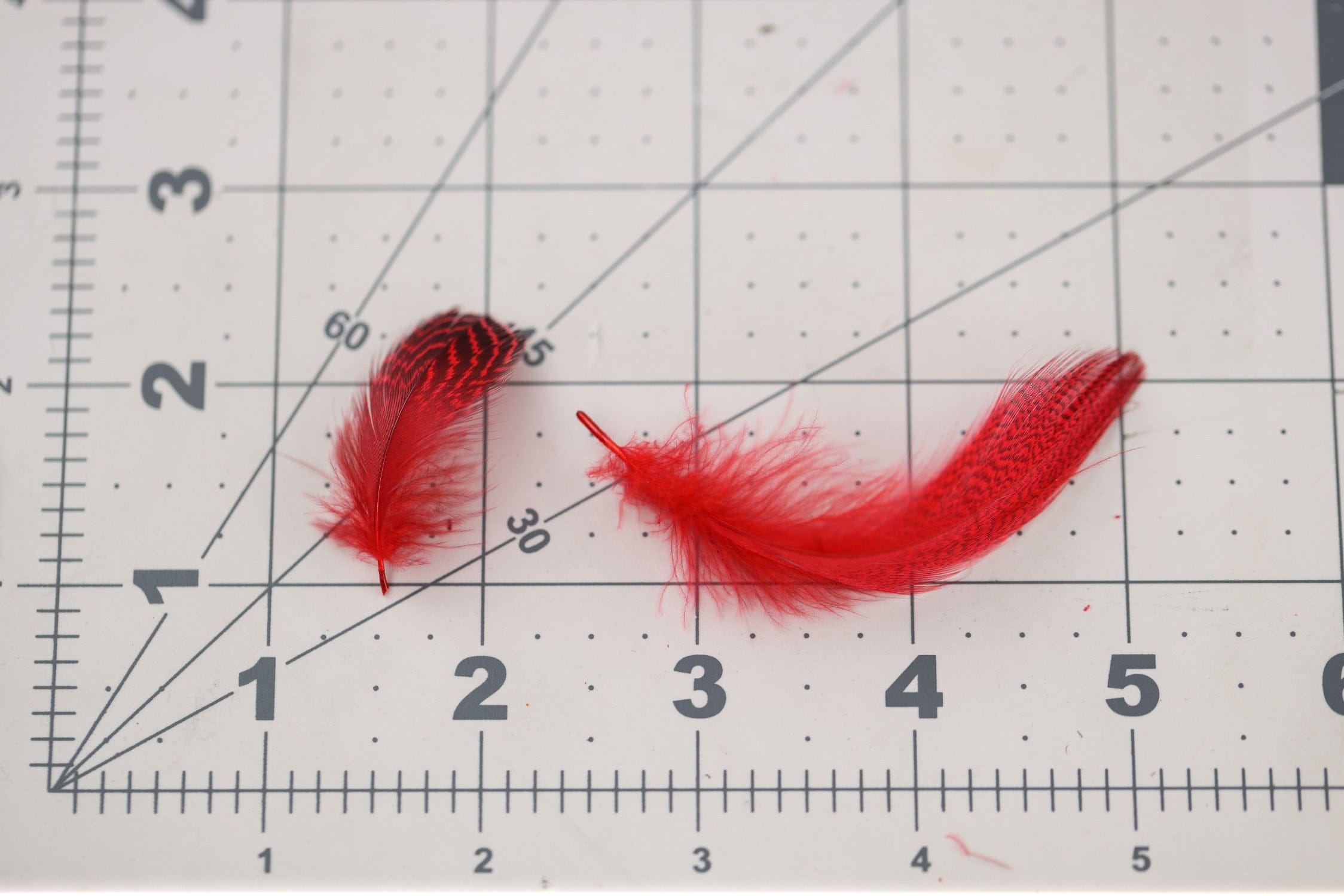 Hareline Mallard Flank Feathers