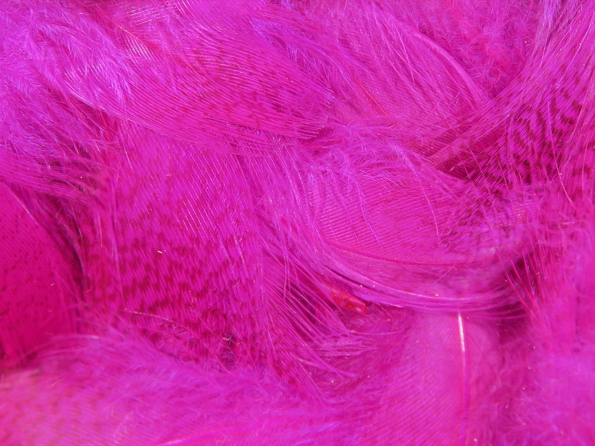 Bright magenta Hareline mallard flank feathers with soft fluffy barbed texture and subtle dark barring for fly tying