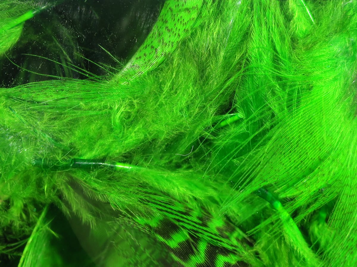 Bright chartreuse Hareline mallard flank feathers, soft fluffy fibers and barred tips for fly tying