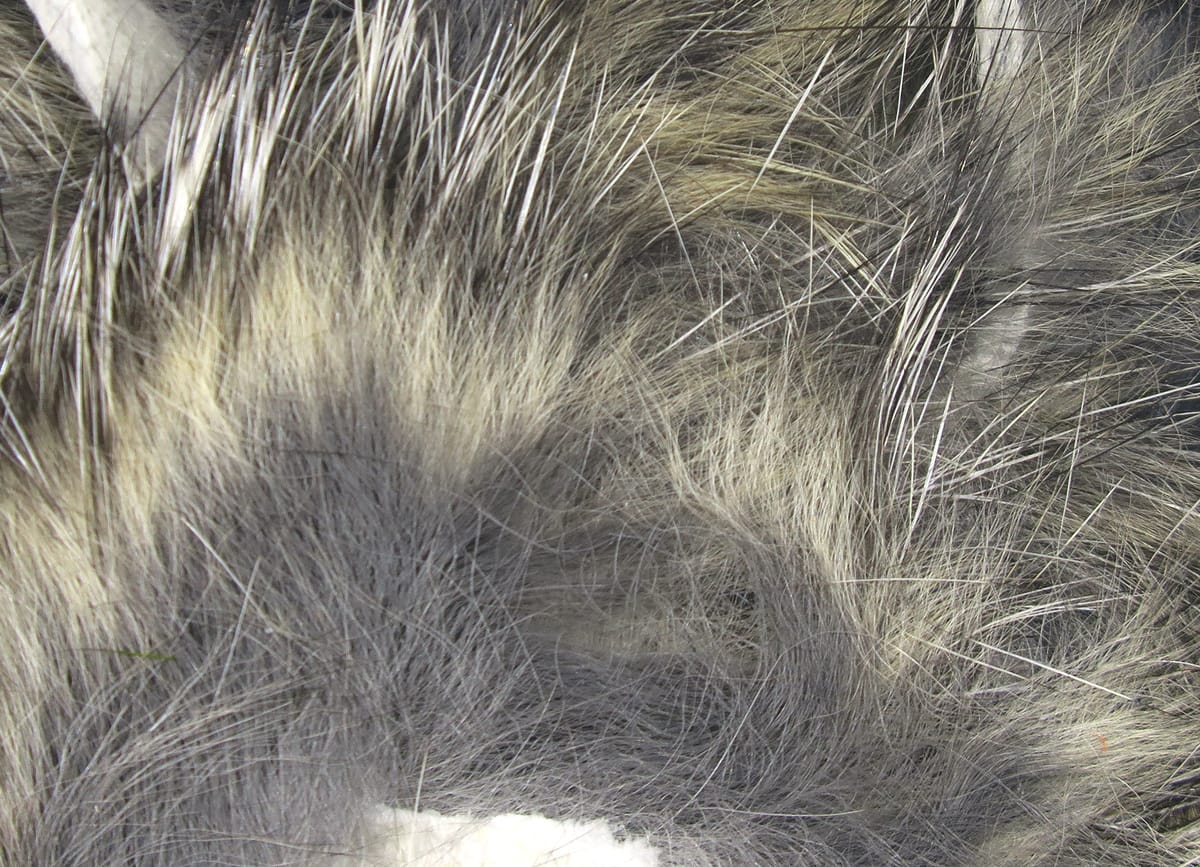 Close-up soft gray and tan micro rabbit fur strips with fine underfur and longer guard hairs for fly tying