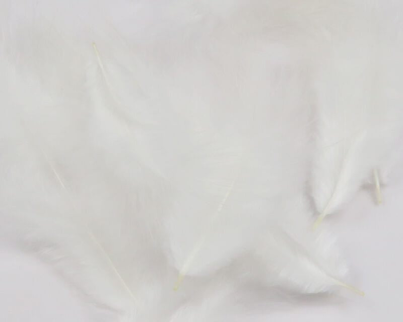 White Hareline mini marabou feathers for fly tying, soft fluffy plumes with pale yellow quills