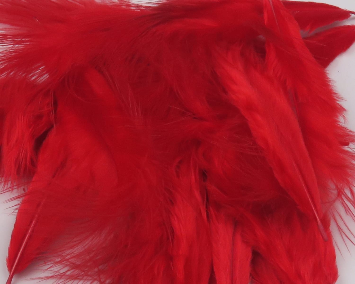 Bright red Hareline mini marabou feathers, soft fluffy plumes with thin quills for fly tying