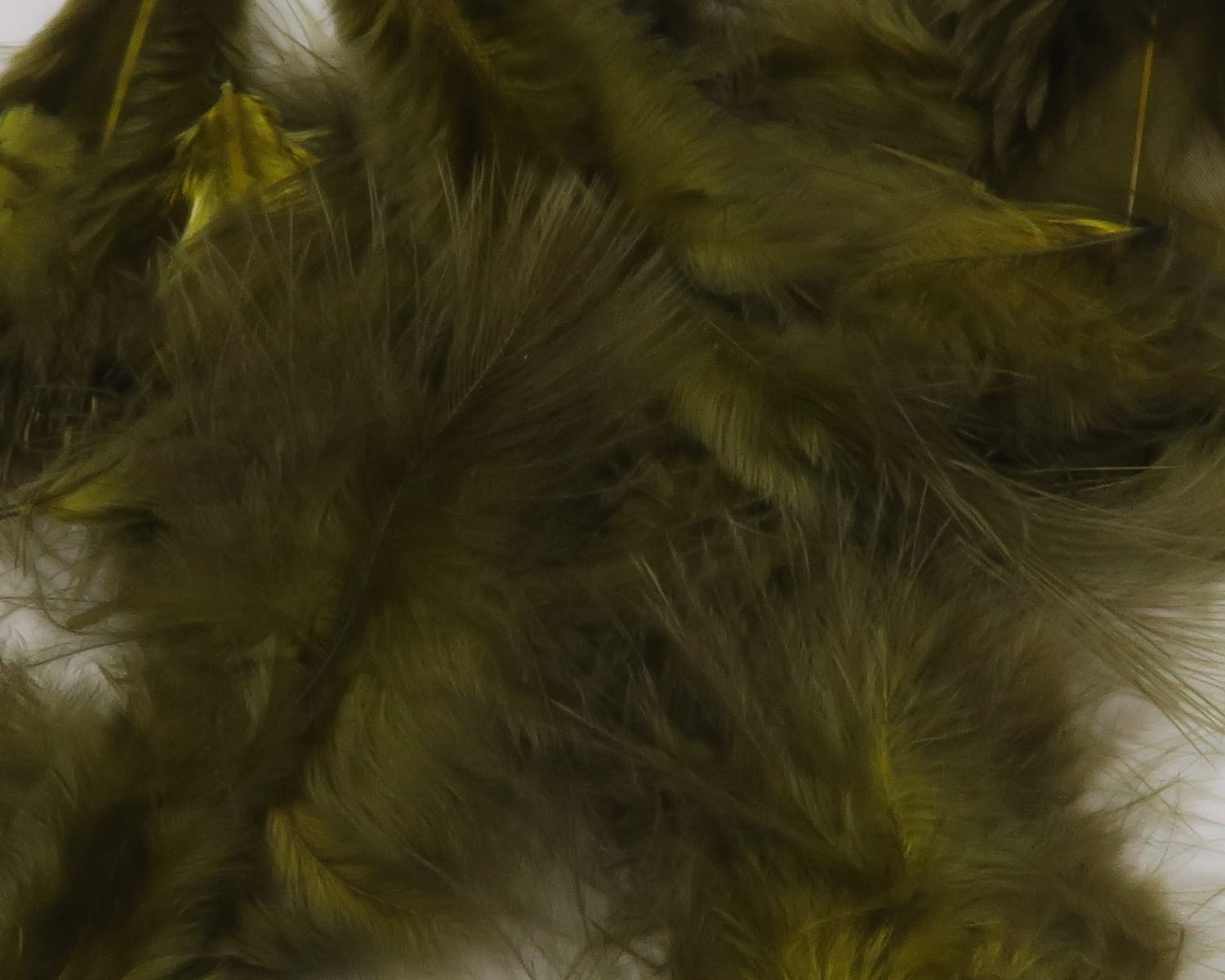 Olive green Hareline mini marabou feathers, soft fluffy downy plumes with wispy filaments for fly tying