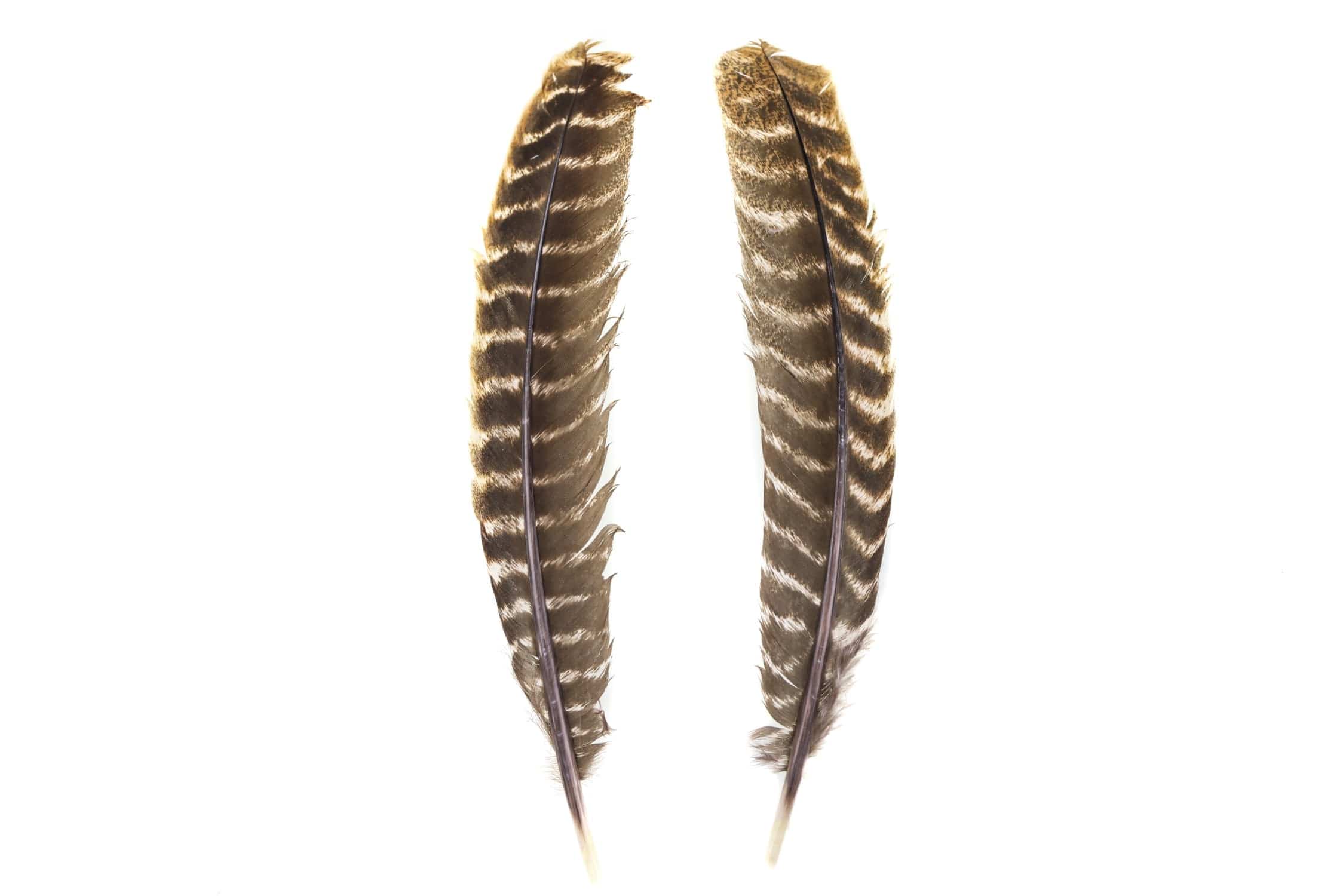 Hareline Natural Ozark Oak Mottled Turkey Quills