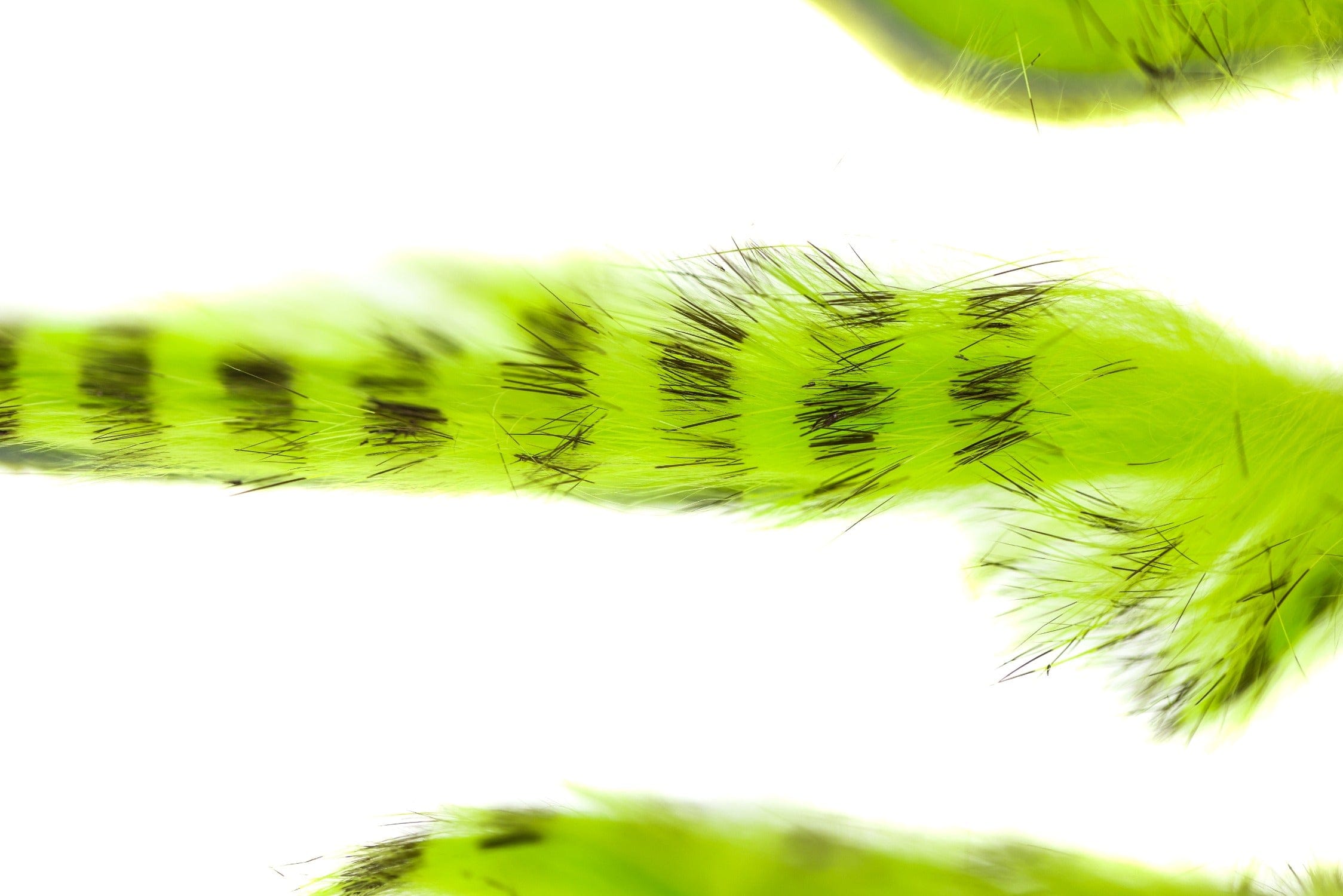 Hareline Olive-Barred Rabbit Fur Strips