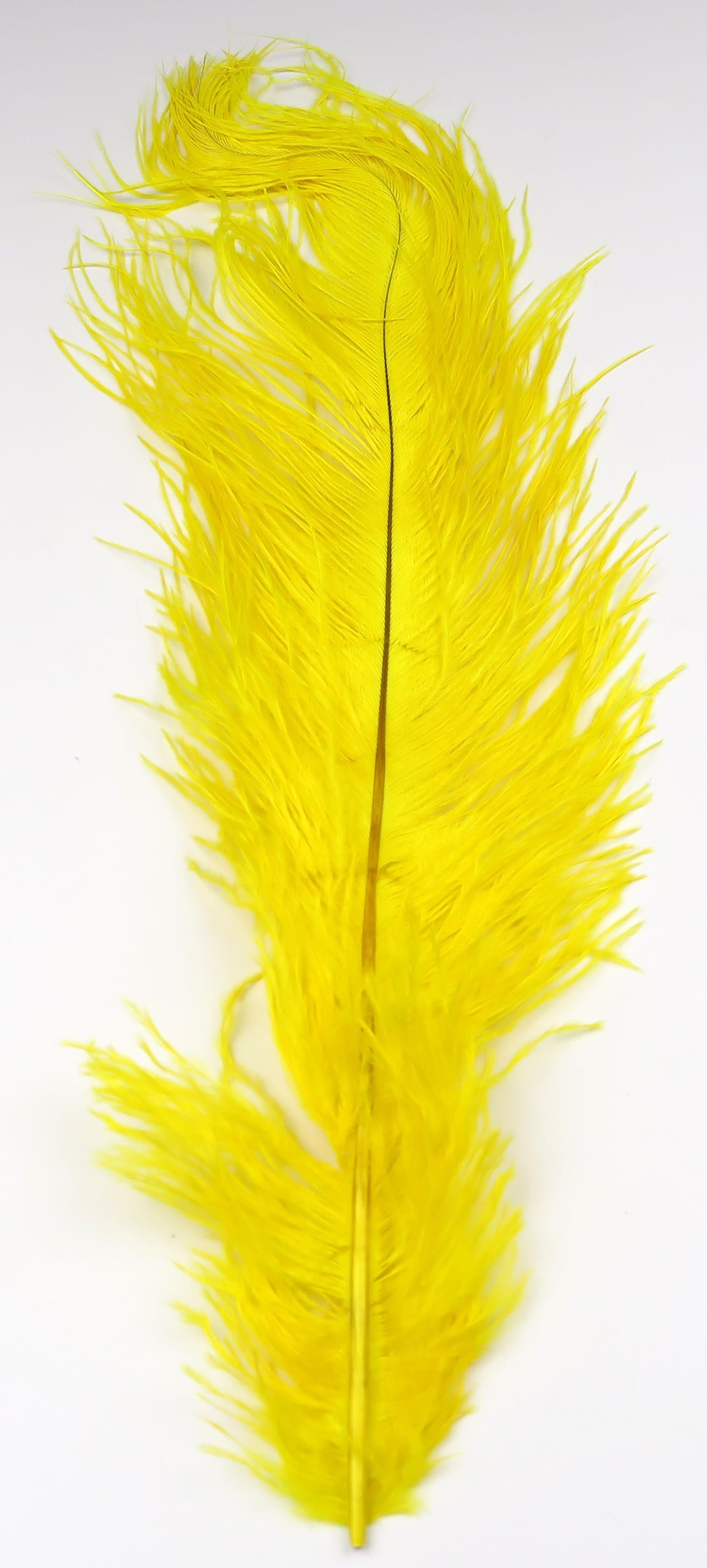 Bright yellow Hareline ostrich herl feather with long wispy barbs and thin central quill for fly tying