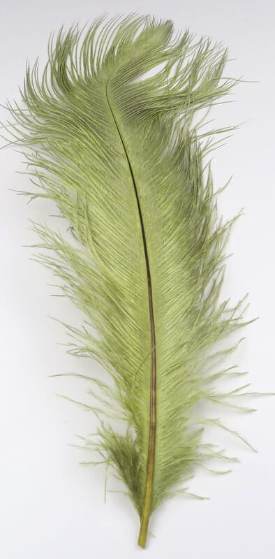 Olive green Hareline ostrich herl feather, long wispy barbs and central quill for fly tying