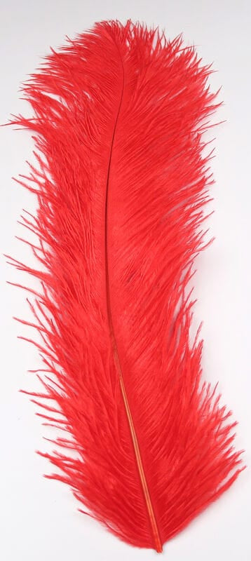 Long bright red Hareline ostrich herl feather with wispy soft barbs for fly tying