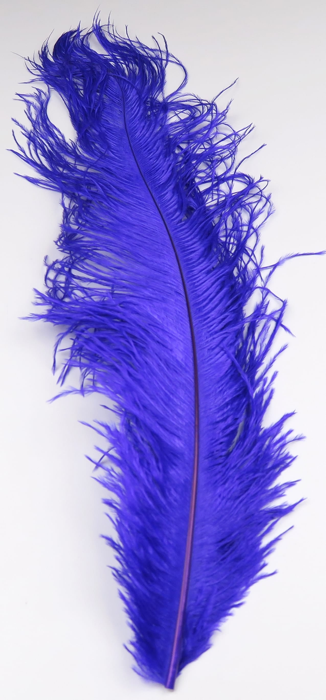 Hareline ostrich herl long vibrant royal blue feather with thin central quill and wispy curly barbs for fly tying