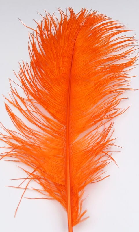Bright orange Hareline ostrich herl feather for fly tying, long soft plumes with wispy barbs and central rachis