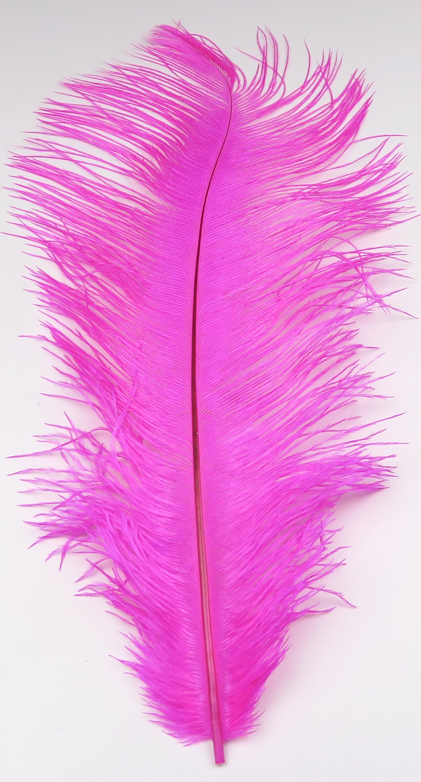 Bright magenta ostrich herl feather with long soft barbs and slender central quill for fly tying
