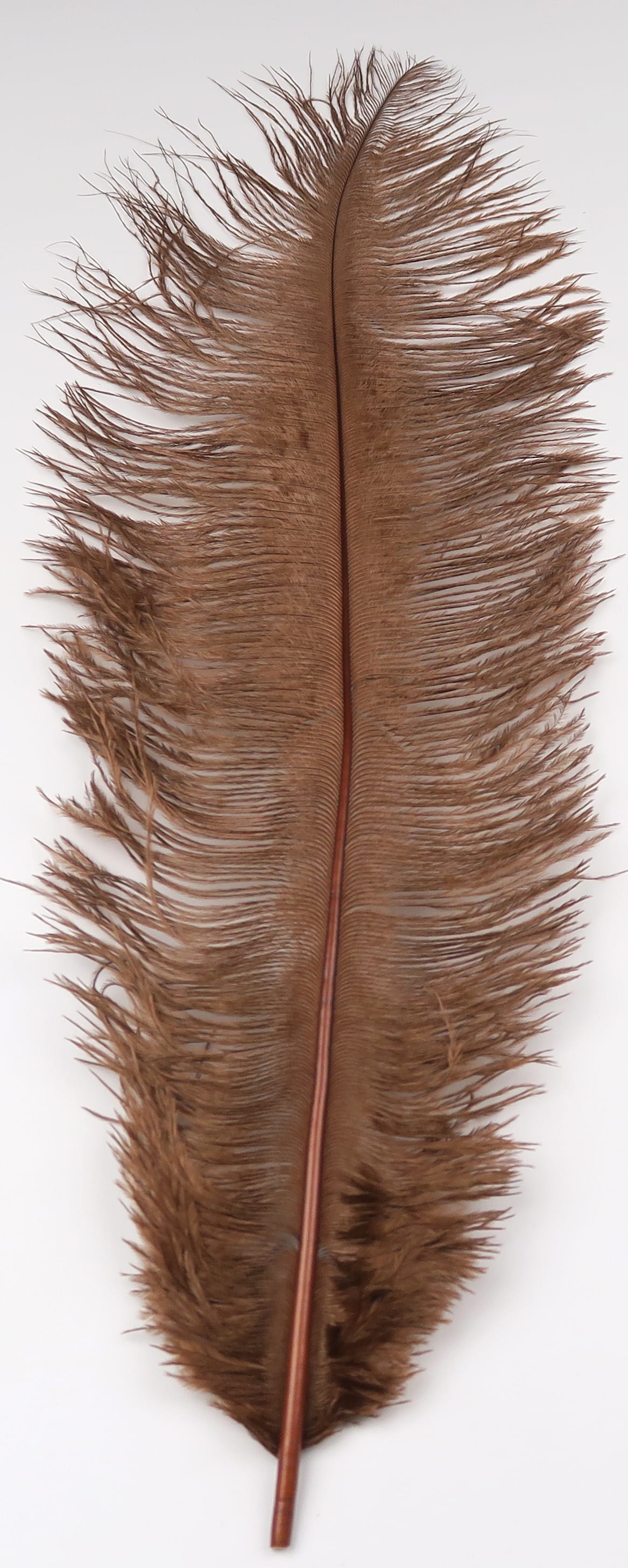 Long Hareline brown ostrich herl feather with soft wispy barbs and slender central quill ideal for fly tying