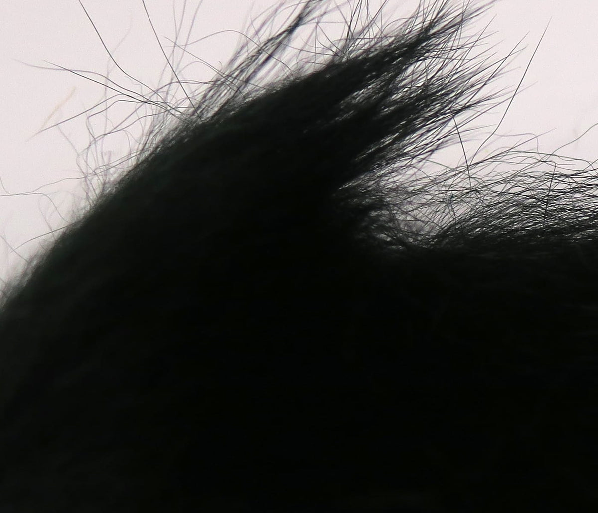 Black Ozzie possum fur close-up with dense silky underfur and long wispy guard hairs, ideal for fly tying