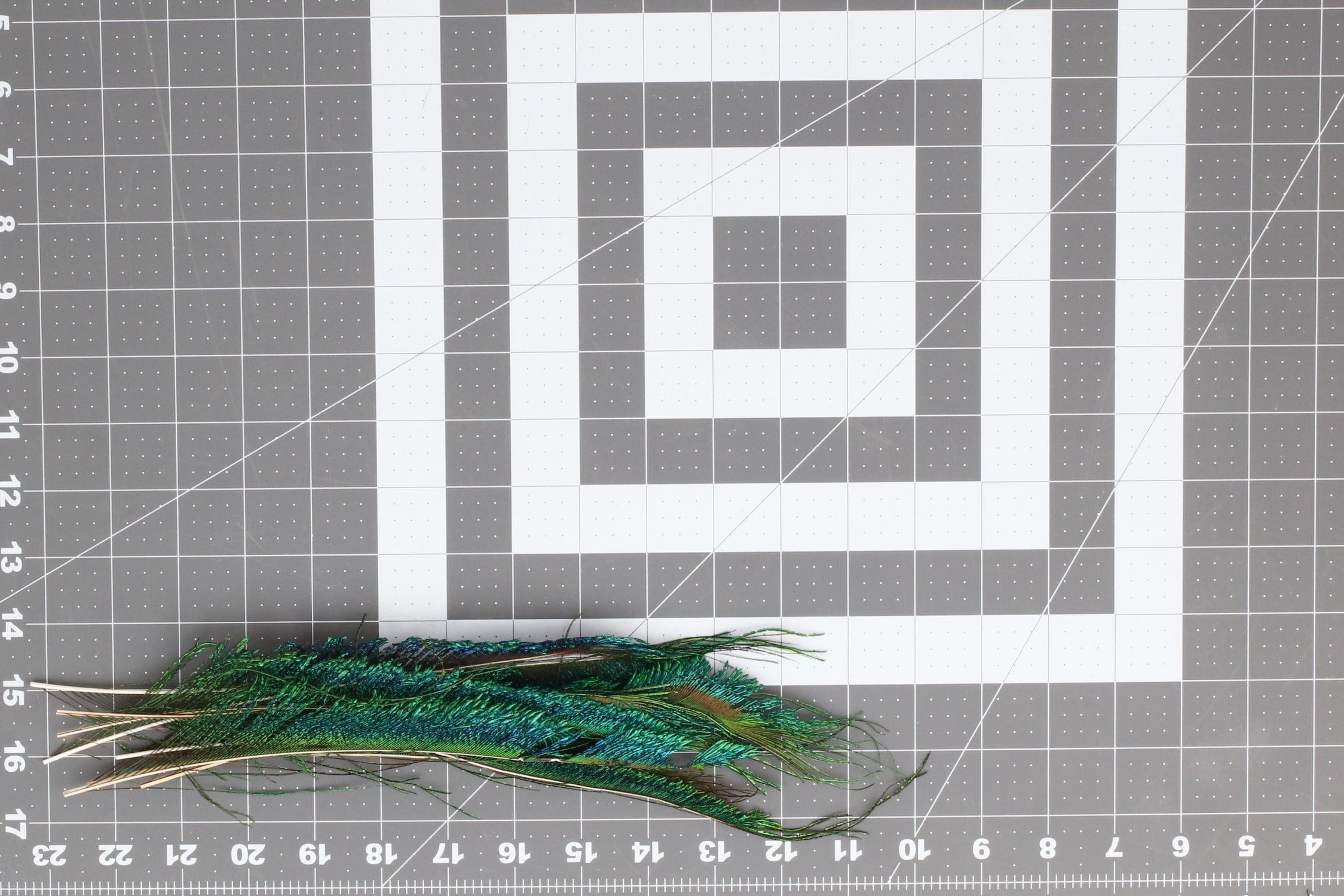 Hareline Peacock Sword Feathers