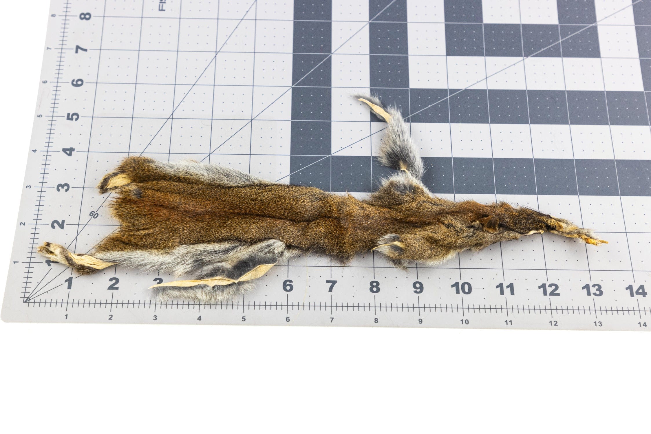 Hareline Pine Squirrel Skins
