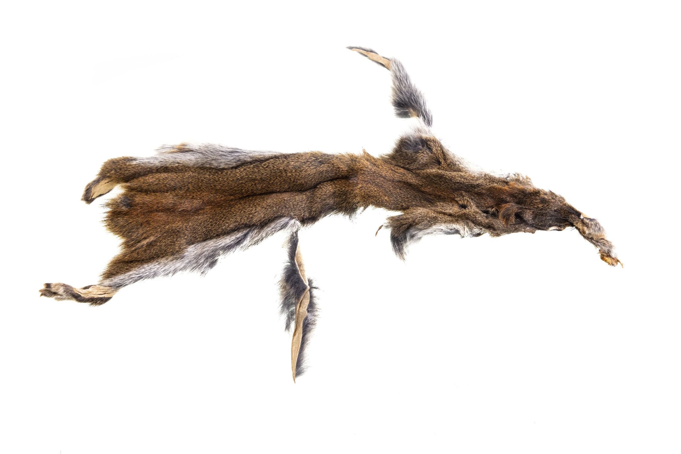 Hareline Pine Squirrel Skins