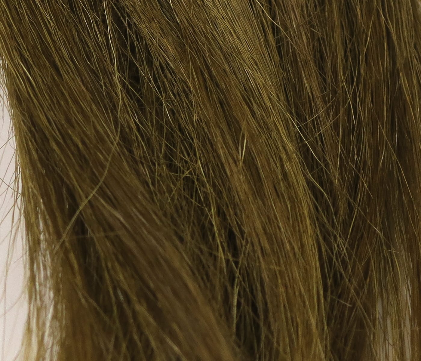 Hareline polar goat hair in olive brown - long silky and coarse fibers with natural guard hairs for fly tying
