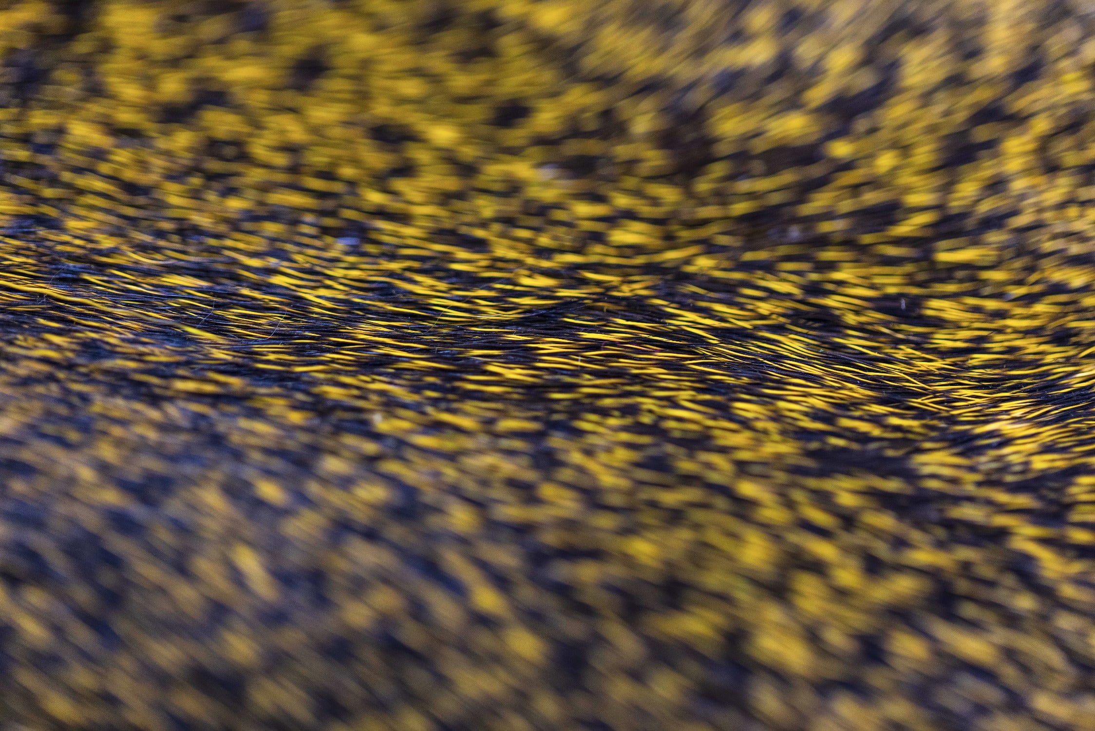 Close-up of Hareline Premo deer hair strips, yellow-and-black barred deer hair fibers with fine layered texture for fly tying