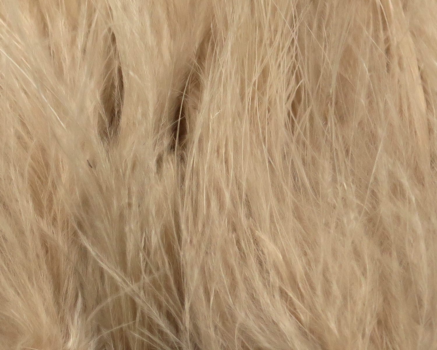 Hareline Premo tan turkey flats with long soft fibers, natural feathers for fly tying