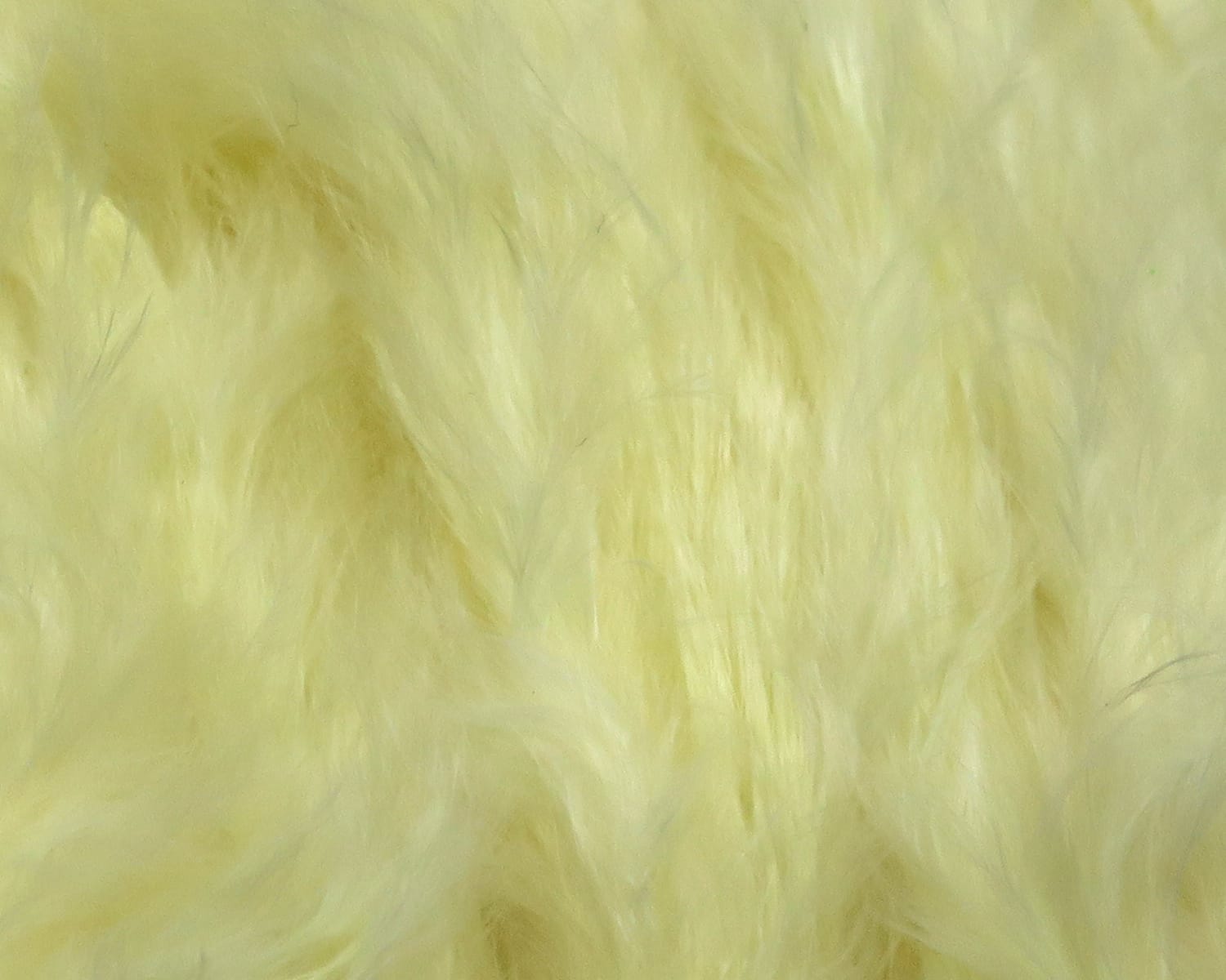Pale cream Hareline Premo turkey flats with soft long feather fibers, fluffy fly tying material