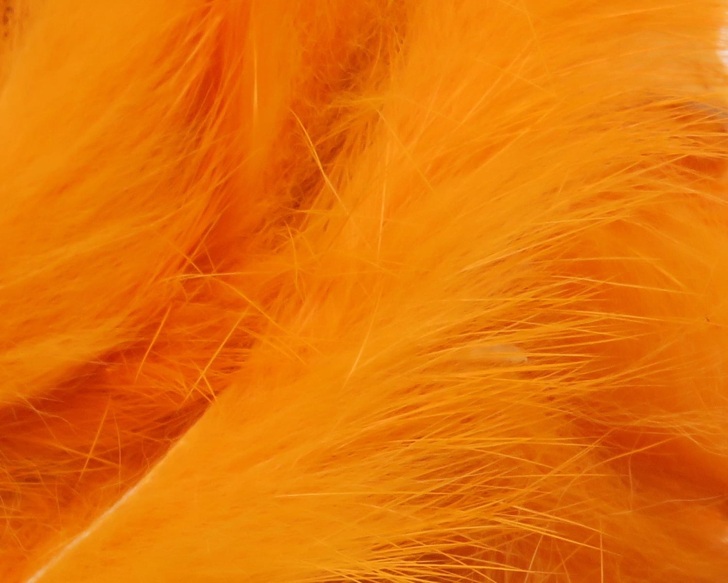 Bright orange Hareline rabbit fur strips, fluffy soft fur with fine guard hairs for fly tying and lure bodies