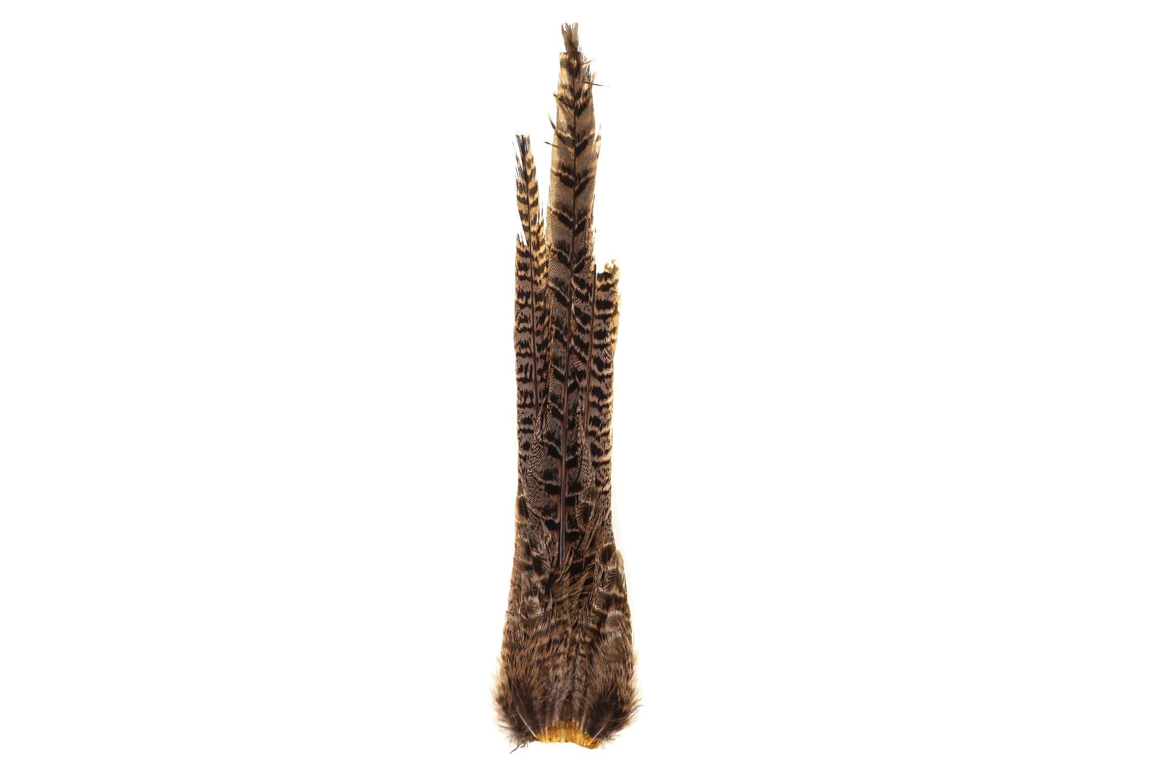 Hareline Ringneck Pheasant Complete Tail Clump - Natural