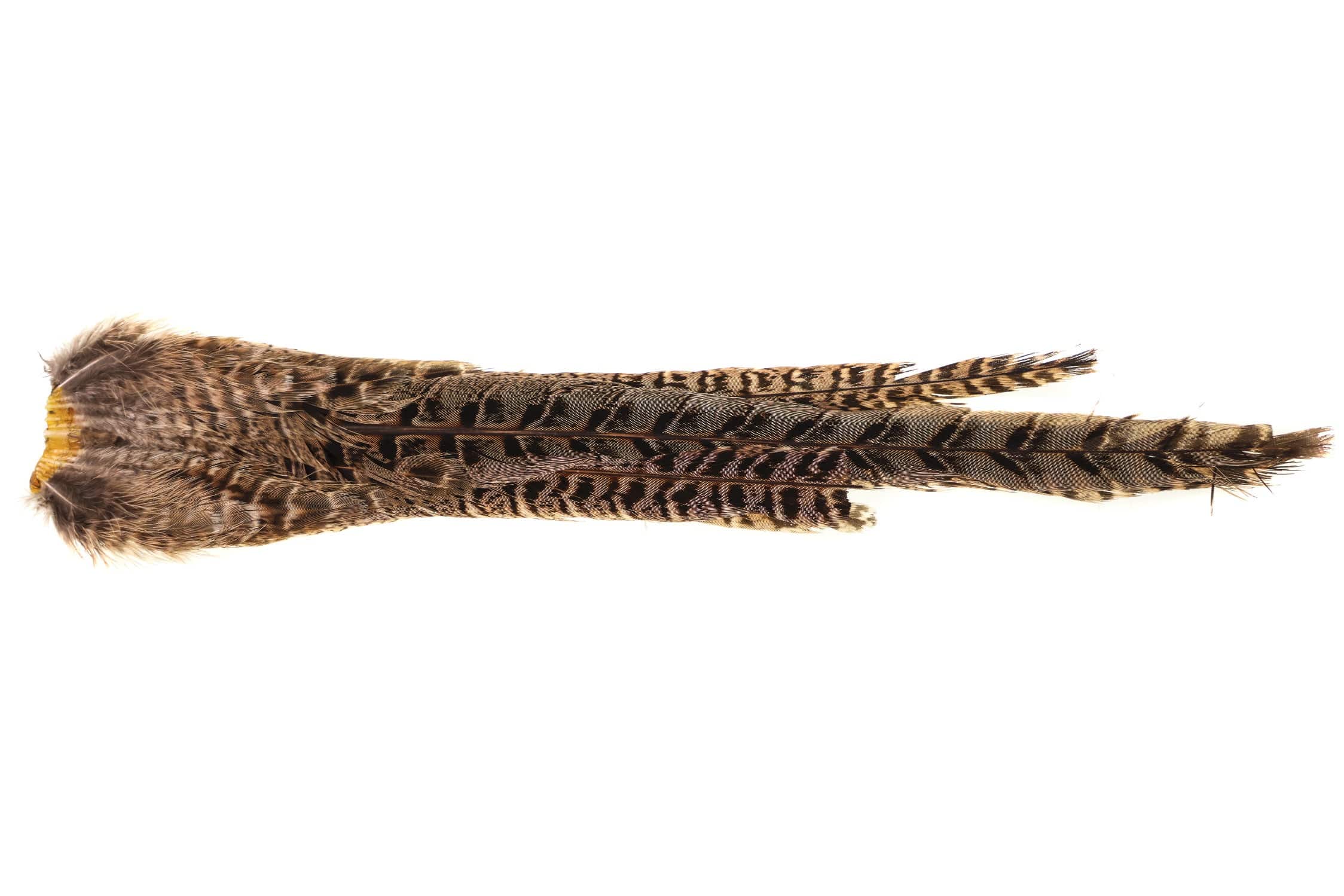 Hareline Ringneck Pheasant Complete Tail Clump - Natural