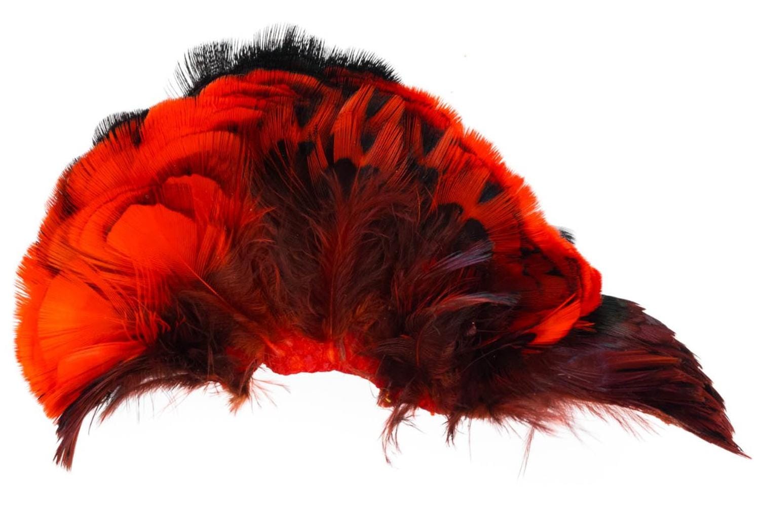 Hareline Ringneck Pheasant Neck Patch