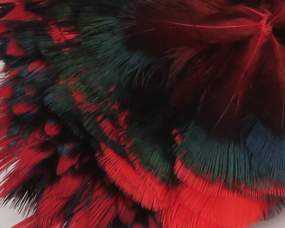 Hareline ringneck pheasant neck patch: red and black pheasant feathers with green iridescent sheen, soft fly tying material