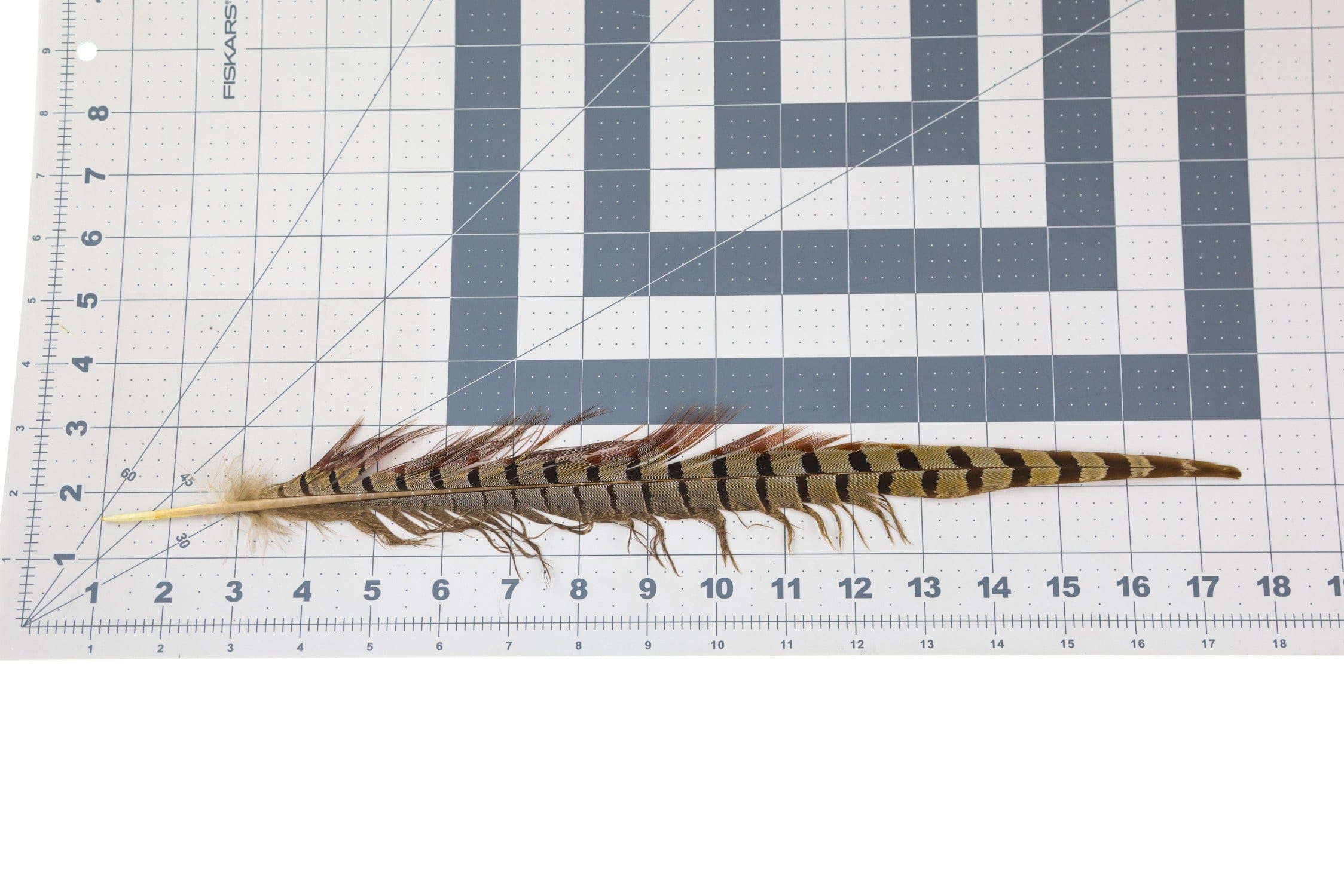 Hareline Ringneck Pheasant Tail Feathers