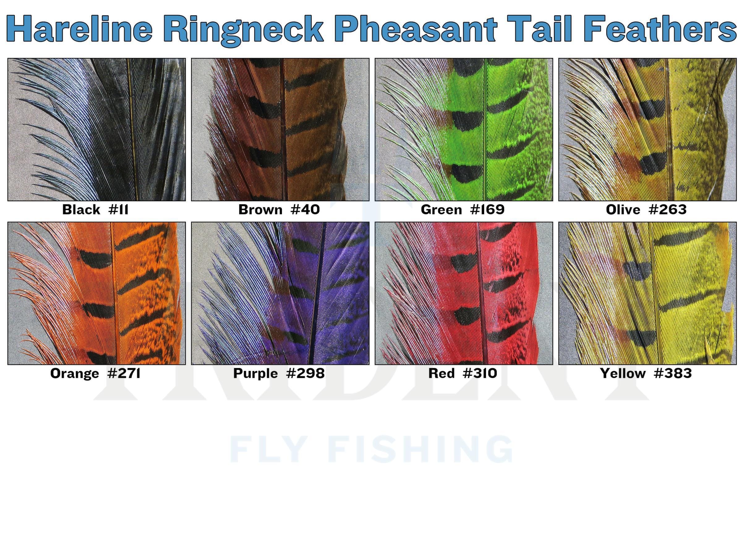 Hareline Ringneck Pheasant Tail Feathers
