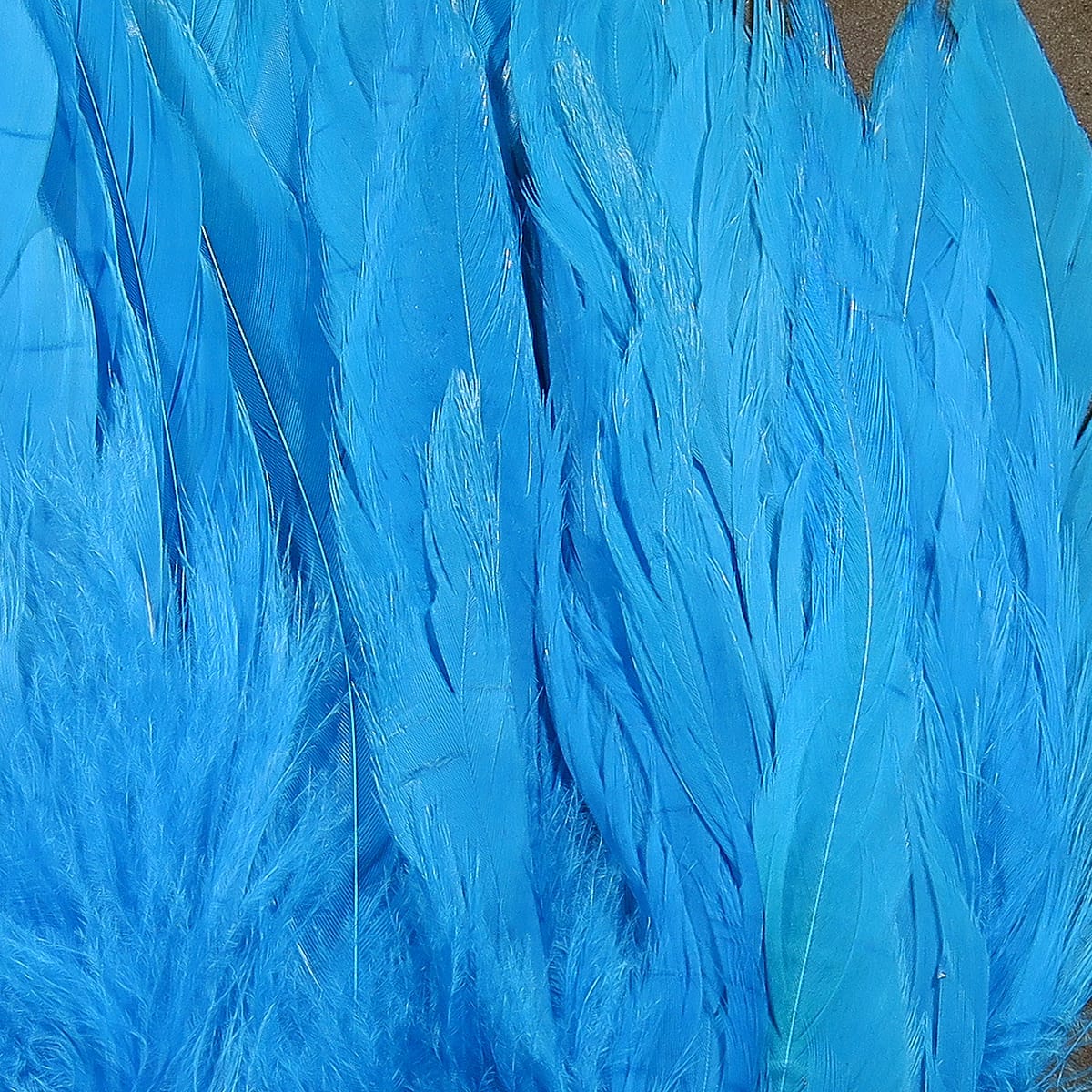 Bright turquoise Hareline rooster schlappen feathers, long silky saddle feathers for fly tying and streamer patterns