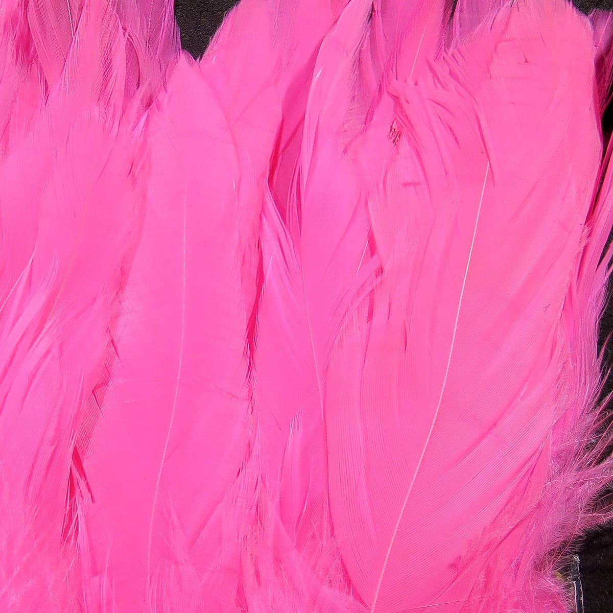 Hot pink rooster schlappen feathers, long silky saddle feathers for fly tying with fine quills